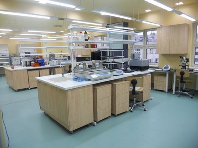 UMF Iuliu Hatieganu - Laborator