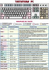 inp51