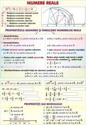 materiale_didactice_matematica_planse_plansa_numere_realefunctii_(2)_(duo)