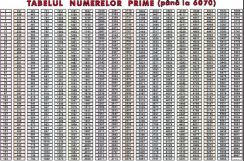 materiale_didactice_matematica_planse_plansa_tabelul_numerelor_prime_(pana_la_6070)_(duo)