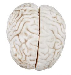 bma_49_2