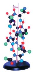 mulaj_structura_proteinei_secundare_(materiale_didactice)