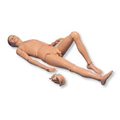 p11_01_3b-scientific-patient-care-manikin-ii