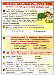 plansa_pronumele_personale-scrierea_cuvintelor_cu_i_si_a2
