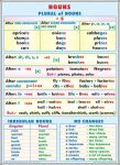 _past_perfect_progressive_nouns-_plural_(duo)_2_