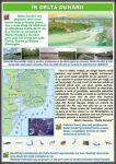 cp8-verso