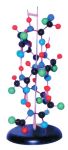 mulaj_structura_proteinei_secundare_(materiale_didactice)