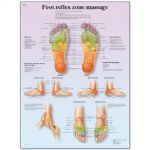 vr1810l_01_foot-reflex-zone-massage-chart