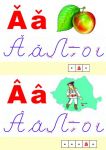 ALFABETUL LIMBII ROMANE (SET 31 PLANSE) FARA SIPCI DE PLASTIC